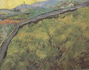 Vincent Van Gogh Field of Spring Wheat at Sunrise (nn04)